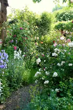 IMG_2639.webp