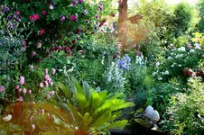 IMG_2641.webp