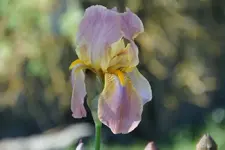 DSC08238.webp