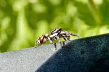 DSCN6129.webp