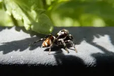 DSCN6136.webp