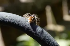 DSCN6144.webp