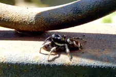 DSCN6152.webp