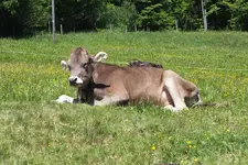 DSCF8982.webp