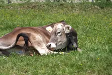 DSCF8983.webp