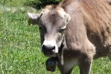 DSCF8992.webp