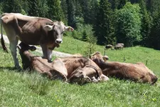 DSCF8991.webp