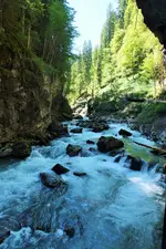 DSCF8935 (2).webp