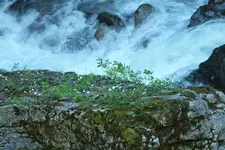 DSCF8942.webp