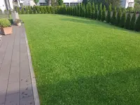 20170529_073304.webp