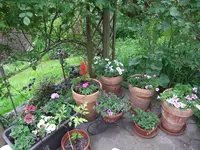 014.webp
