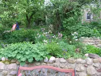 012.webp