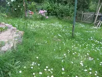008.webp