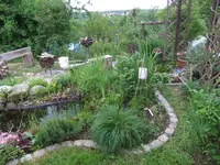 006.webp