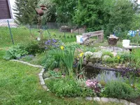 005.webp