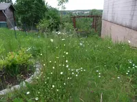 004.webp
