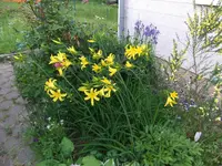 003.webp