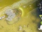 20170529_135854.jpg