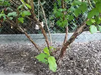 2017-05-29 15.06.44.webp