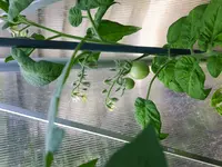 20170529_165031.webp