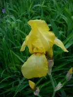 DSCI0237.webp