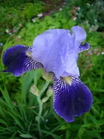 DSCI0238.webp