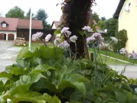 BILD6579.webp