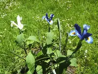 BILD6691.webp
