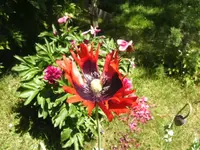 BILD6686.webp