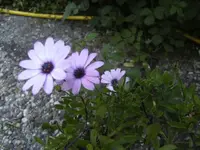 BILD6677.webp