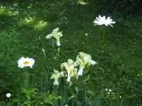 BILD6694.webp
