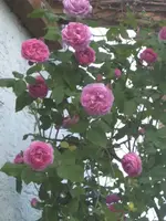 BILD6720.webp