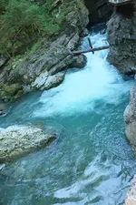 DSCF8943 (2).webp