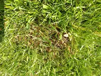 IMG_20170530_114240.jpg