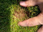 IMG_20170530_114313.jpg