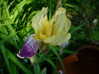 DSCI0242.webp