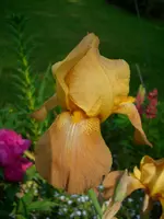 DSCI0243.jpg