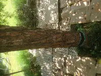 IMG_0095.jpg