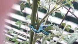 20170530_170317.webp