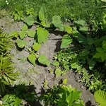 20170525_121947.jpg