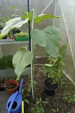 _DSC1688.webp