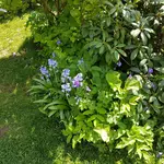 20170525_121557.webp