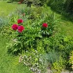 20170525_121754.webp