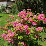 20170525_121630.webp