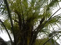 P1000927.webp