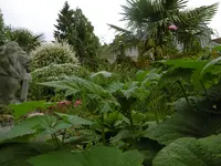P1000930.webp