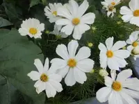 Bilda013.webp