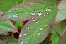 DSCF8888 (2).webp