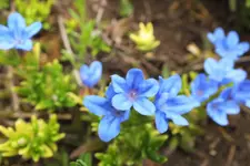DSCF9009 (2).webp