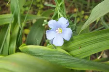 DSCF9021.JPG